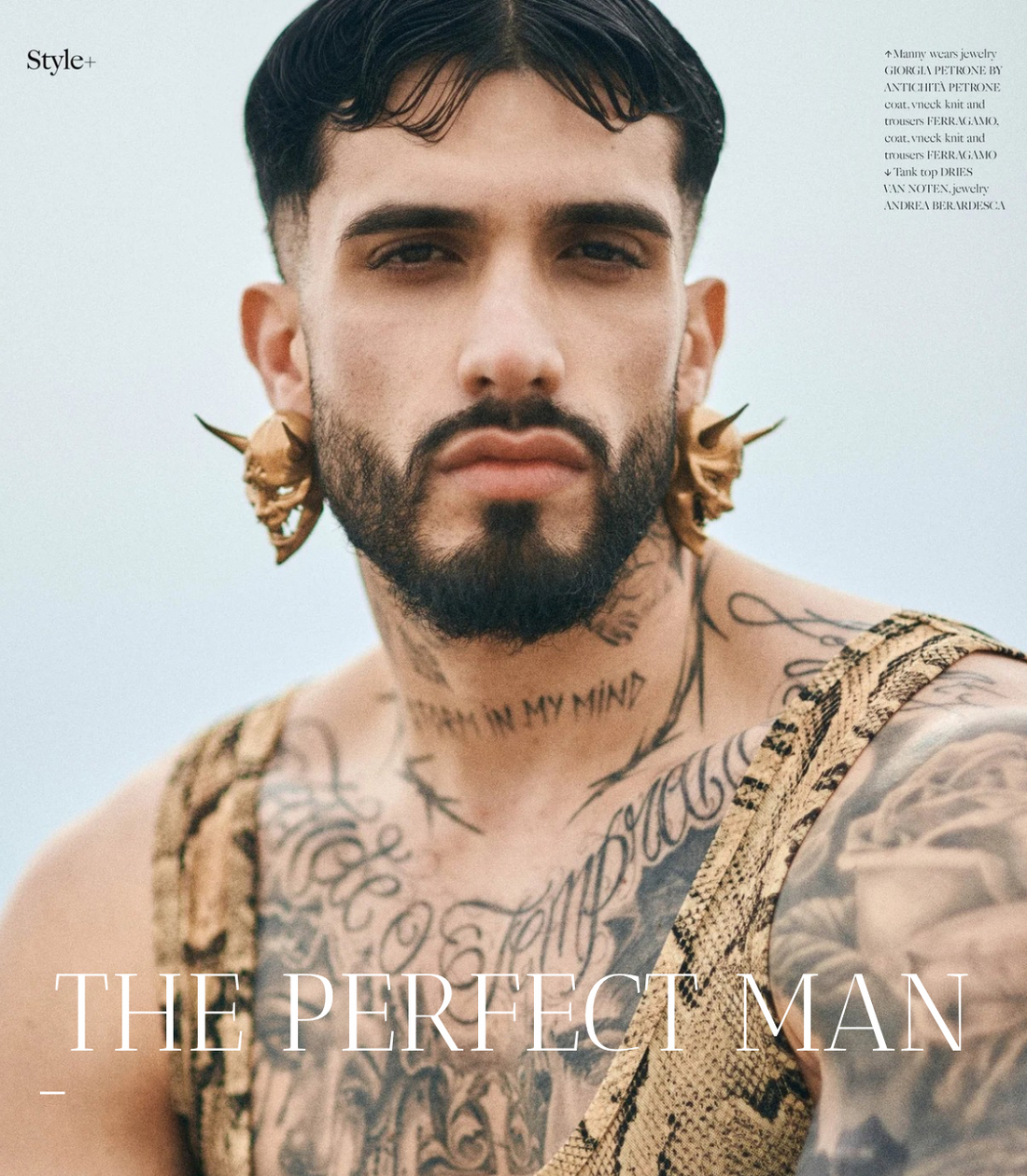 The Perfect Man
