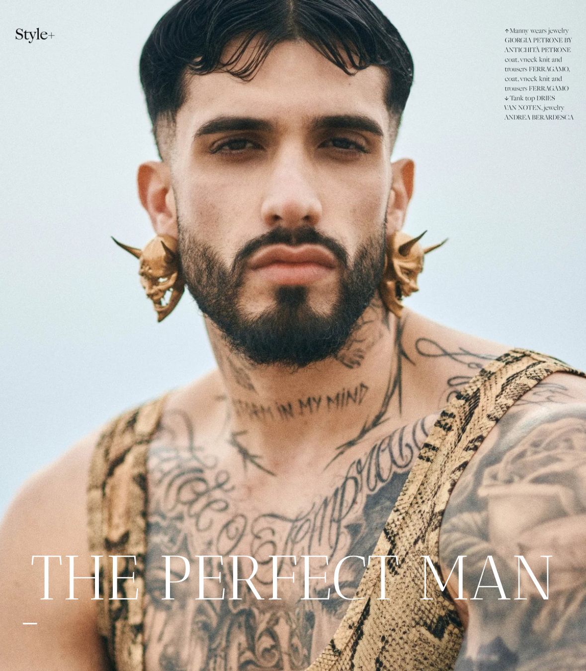 The Perfect Man