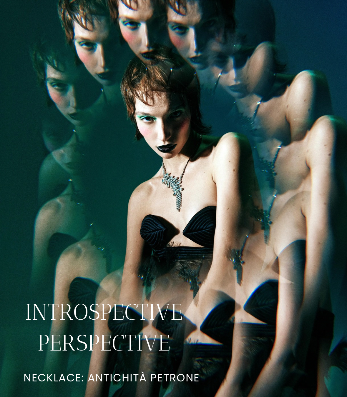 INTROSPECTIVE PERSPECTIVE