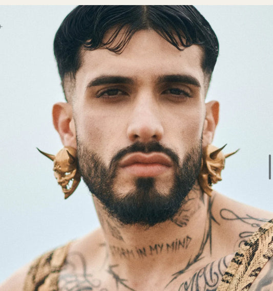The Perfect Man