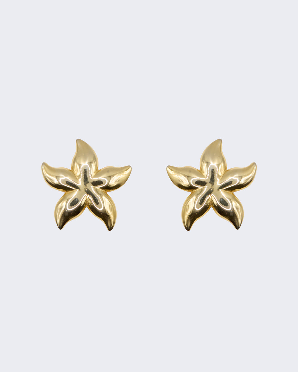 Boucles d'oreilles étoile de mer