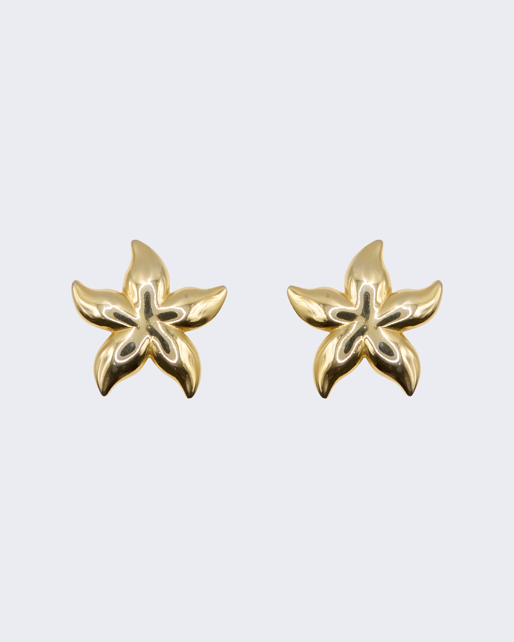 Boucles d'oreilles étoile de mer