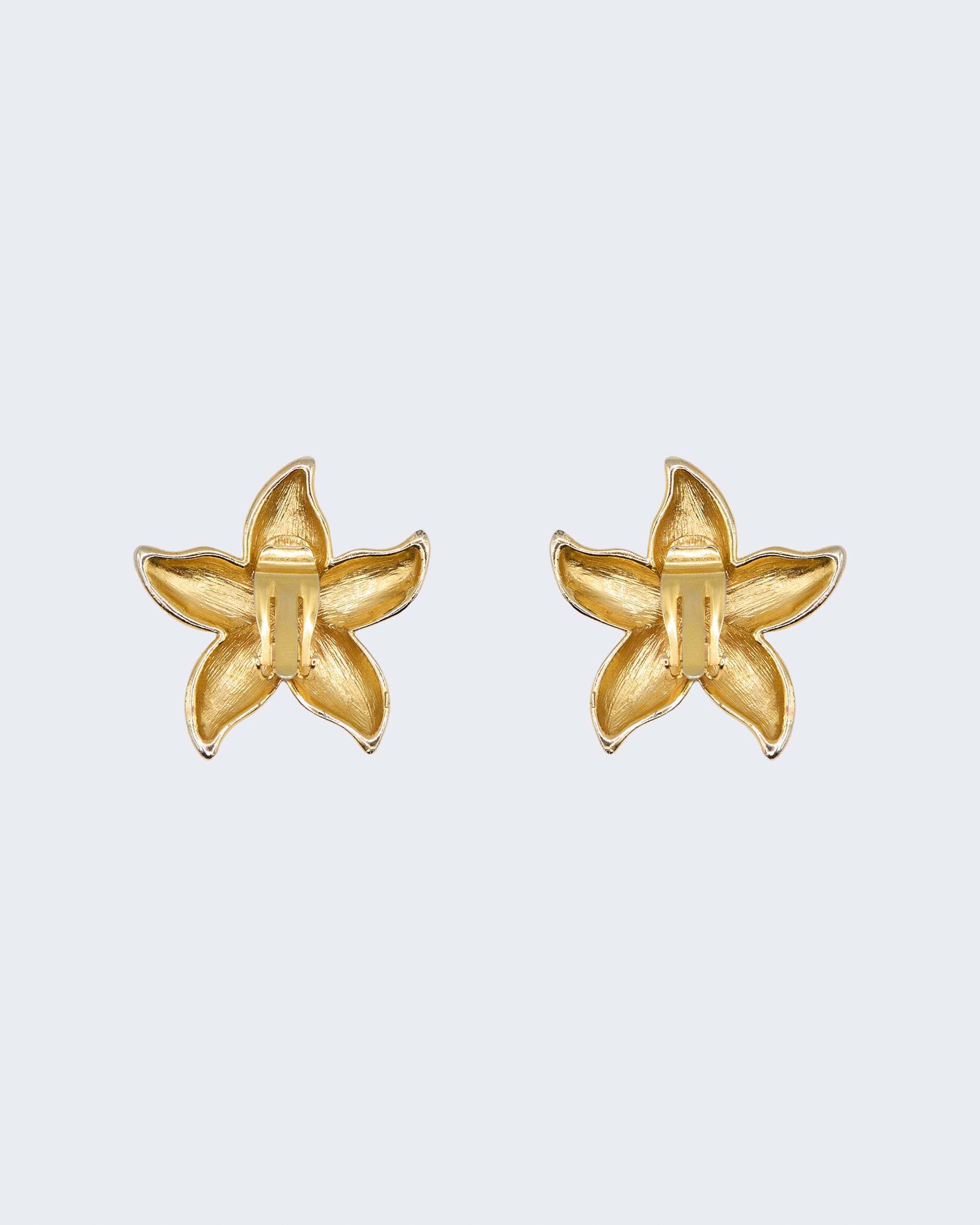 Boucles d'oreilles étoile de mer