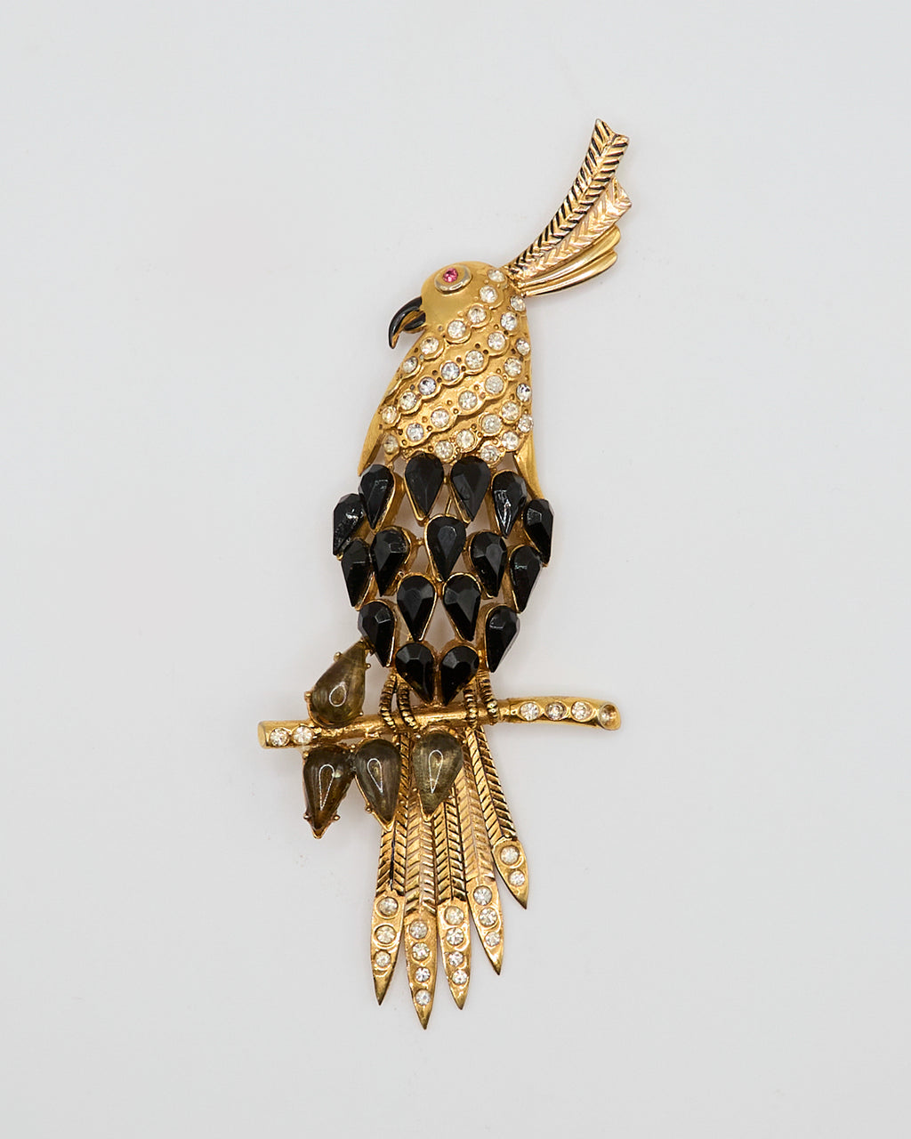 Spilla Pappagallo